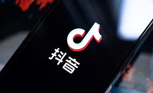 抖音成立上海霜羽戍科技，加码软件外包服务布局