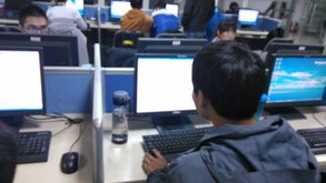 西安软件服务外包学院培训心得体会——2010级信息管理与信息系统专业学生实践感悟