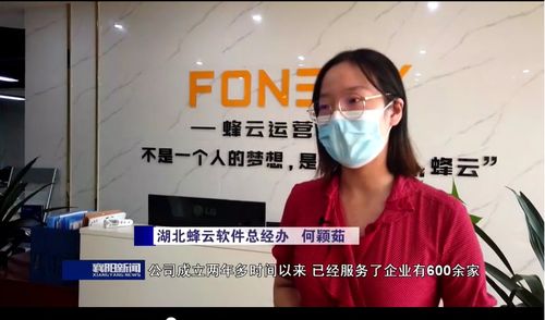 湖北蜂云软件 壮大软件开发市场主体，促进服务外包量增质升